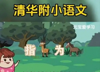 清华附小语文动画教学大合集，小学生1-6年级高效学习必备（40.5G）