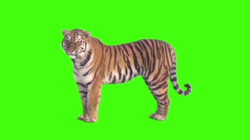 fe2eb7bd7c2585103414211fe7fc09cdoutput_00003.jpg